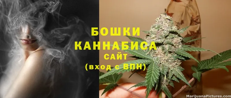 Конопля OG Kush  Переславль-Залесский 